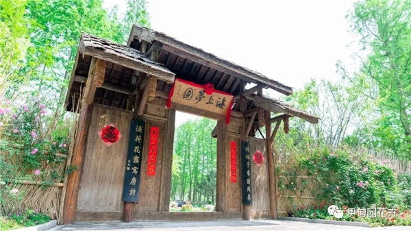 上海|親自體驗(yàn)中國(guó)花卉界的“奧林匹克”盛宴!