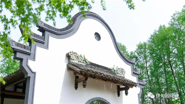 上海|親自體驗(yàn)中國(guó)花卉界的“奧林匹克”盛宴!